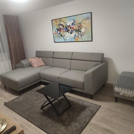Popasu Din Oras Lejlighed Baia Mare Eksteriør billede